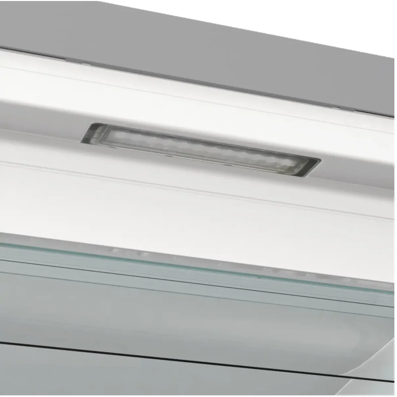 Морозильная камера GORENJE FN 619 EAXL6 (ZOF3168SED) UA