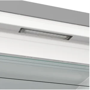 Морозильна камера GORENJE FN 619 EAXL6 (ZOF3168SED) UA