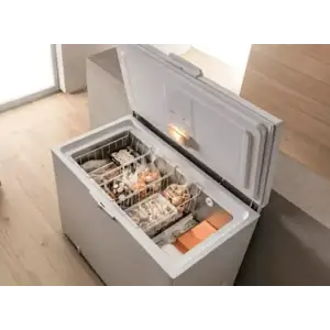 Морозильная камера WHIRLPOOL WHM39111 UA