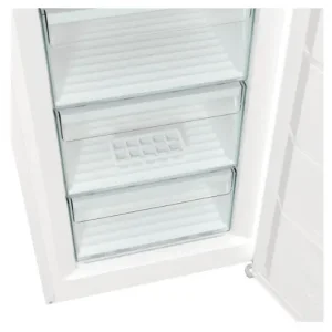 Морозильна камера GORENJE FN 619 EEW5 UA