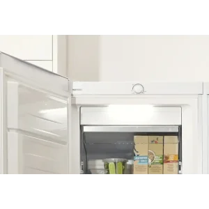 Морозильна камера GORENJE FN 619 EEW5 UA