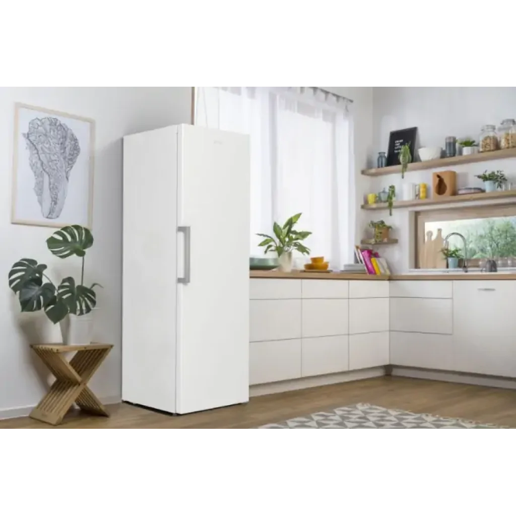 Морозильна камера GORENJE FN 619 EEW5 UA
