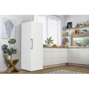 Морозильна камера GORENJE FN 619 EEW5 UA