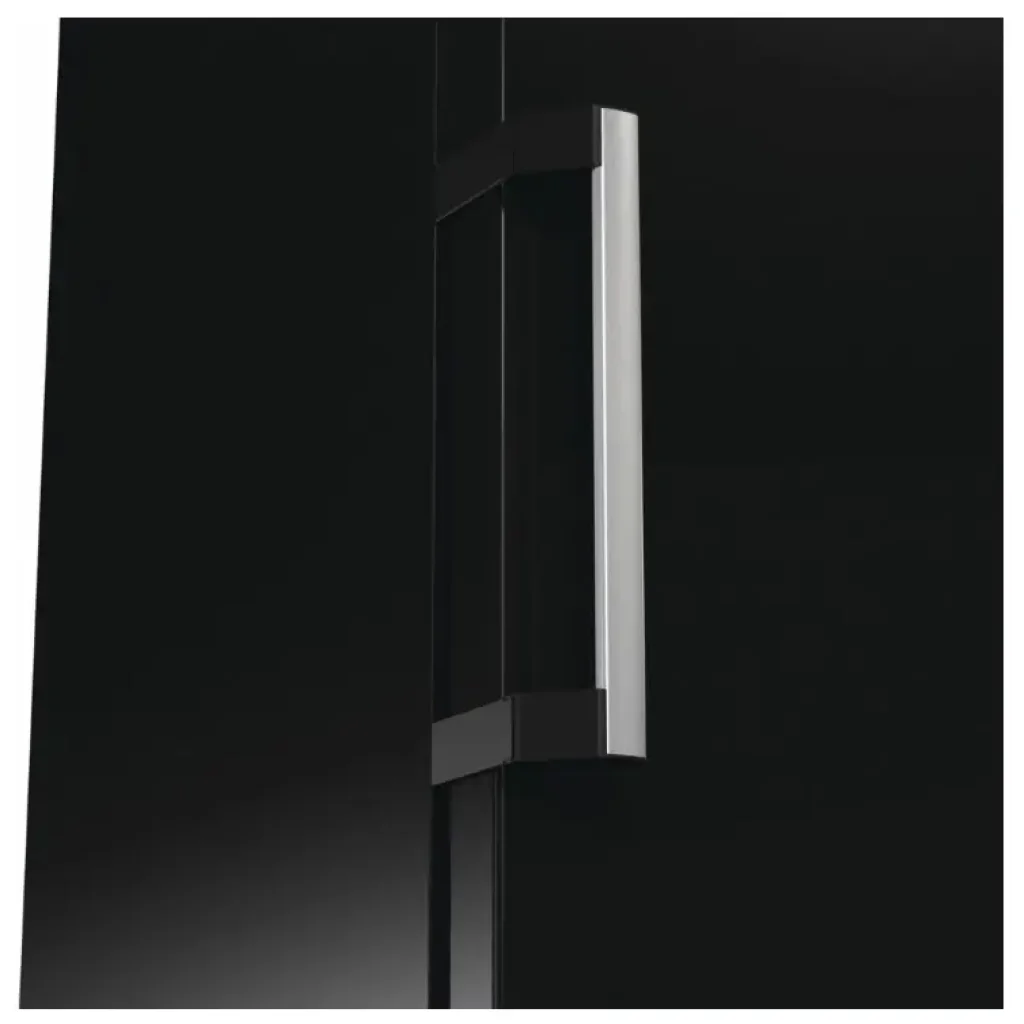 Морозильна камера GORENJE FN619EABK6 UA