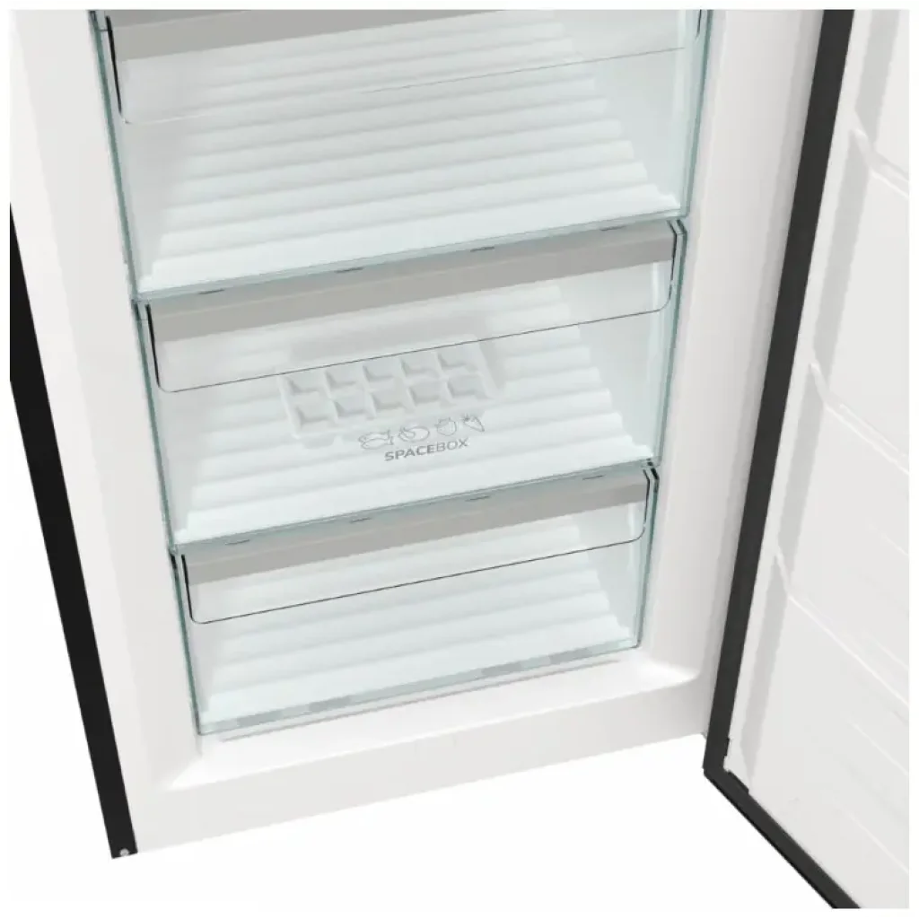 Морозильна камера GORENJE FN619EABK6 UA