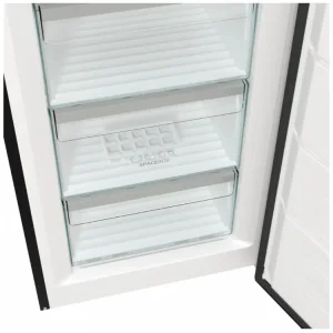 Морозильна камера GORENJE FN619EABK6 UA