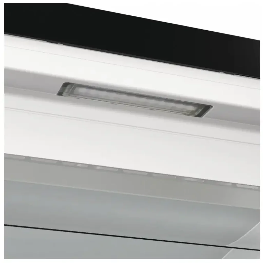 Морозильна камера GORENJE FN619EABK6 UA