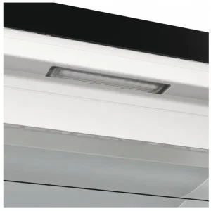 Морозильна камера GORENJE FN619EABK6 UA