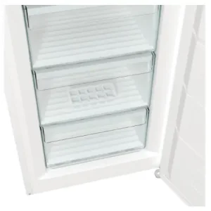 Морозильна камера GORENJE FN619FEW5 (ZOF3168SBD) UA