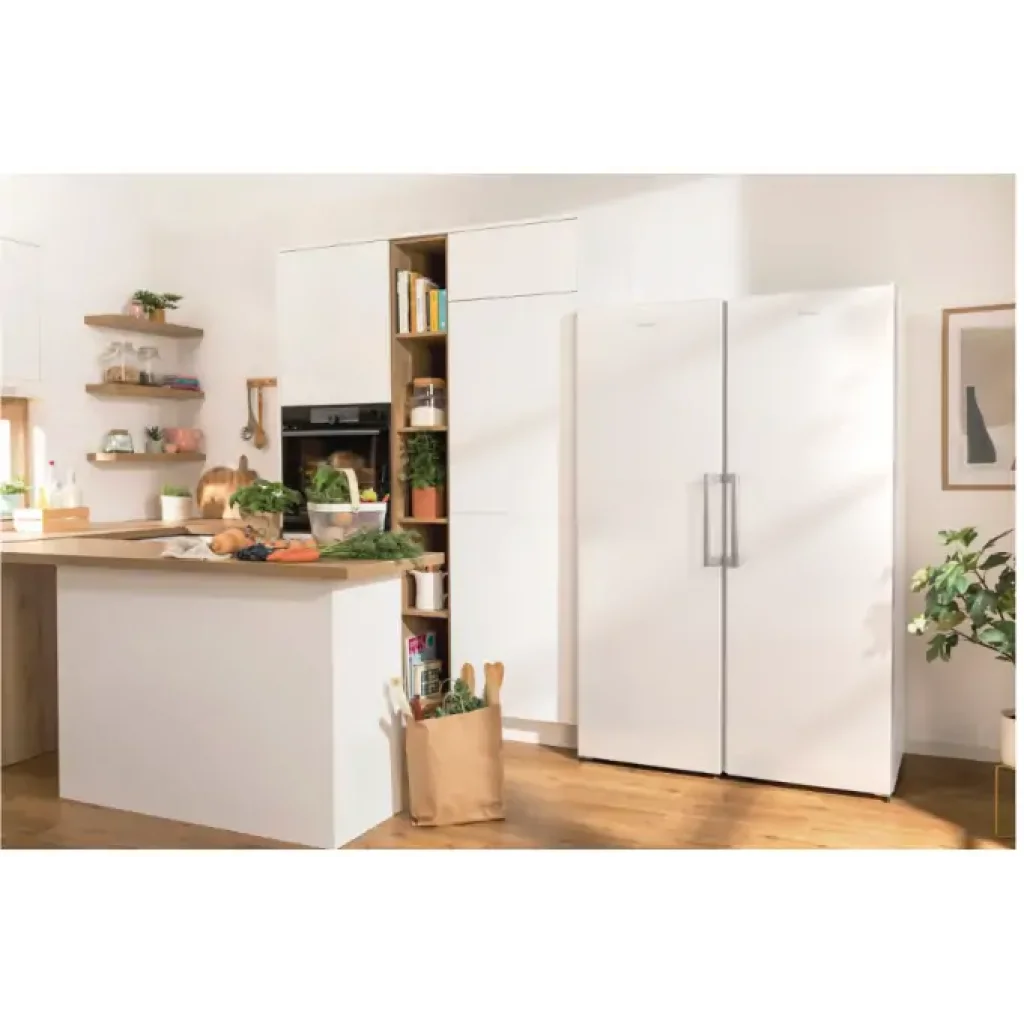 Морозильна камера GORENJE FN619FEW5 (ZOF3168SBD) UA
