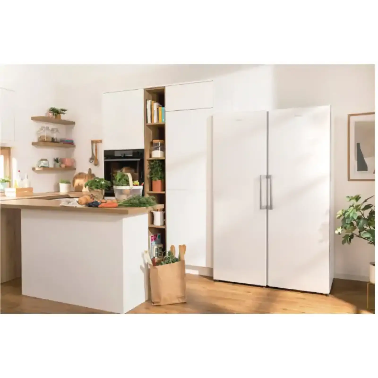 Морозильная камера GORENJE FN619FEW5 (ZOF3168SBD) UA