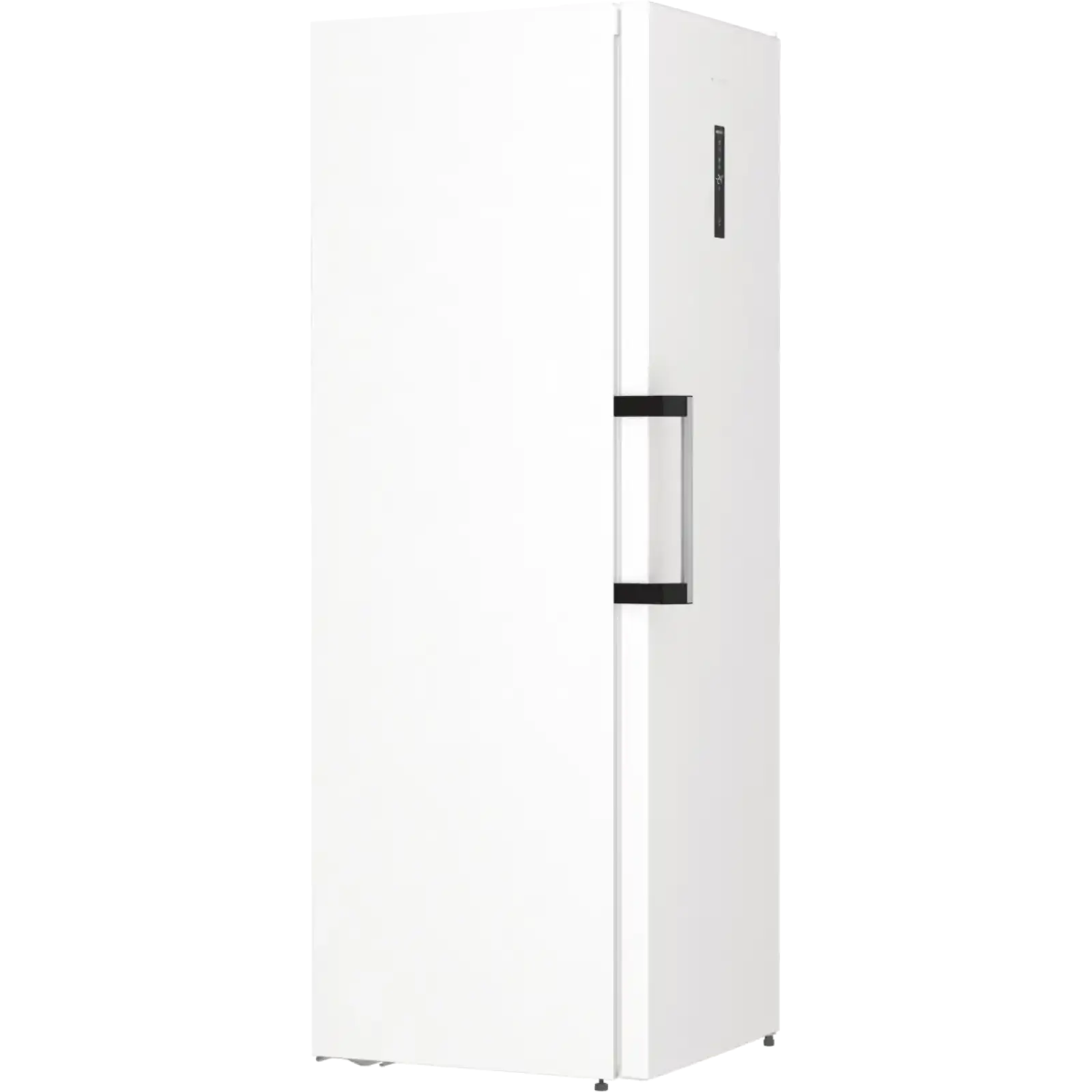 Морозильна камера GORENJE FN619EAW6 UA