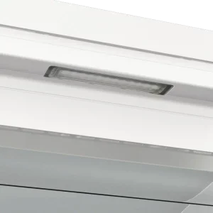 Морозильна камера GORENJE FN 619 EAW6 UA