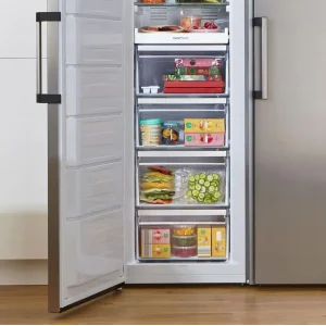 Морозильна камера GORENJE FN 619 EAW6 UA