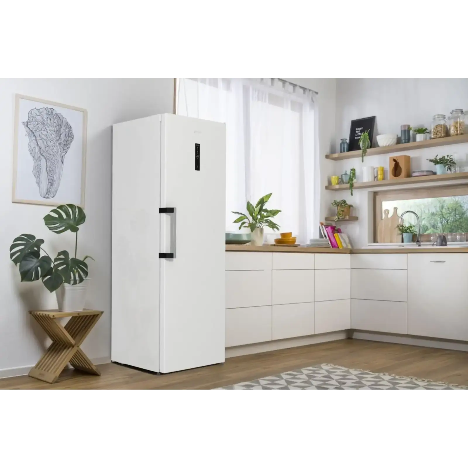 Морозильна камера GORENJE FN619EAW6 UA