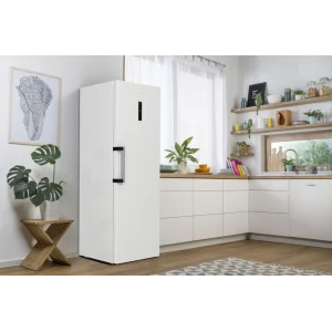Морозильна камера GORENJE FN 619 EAW6 UA