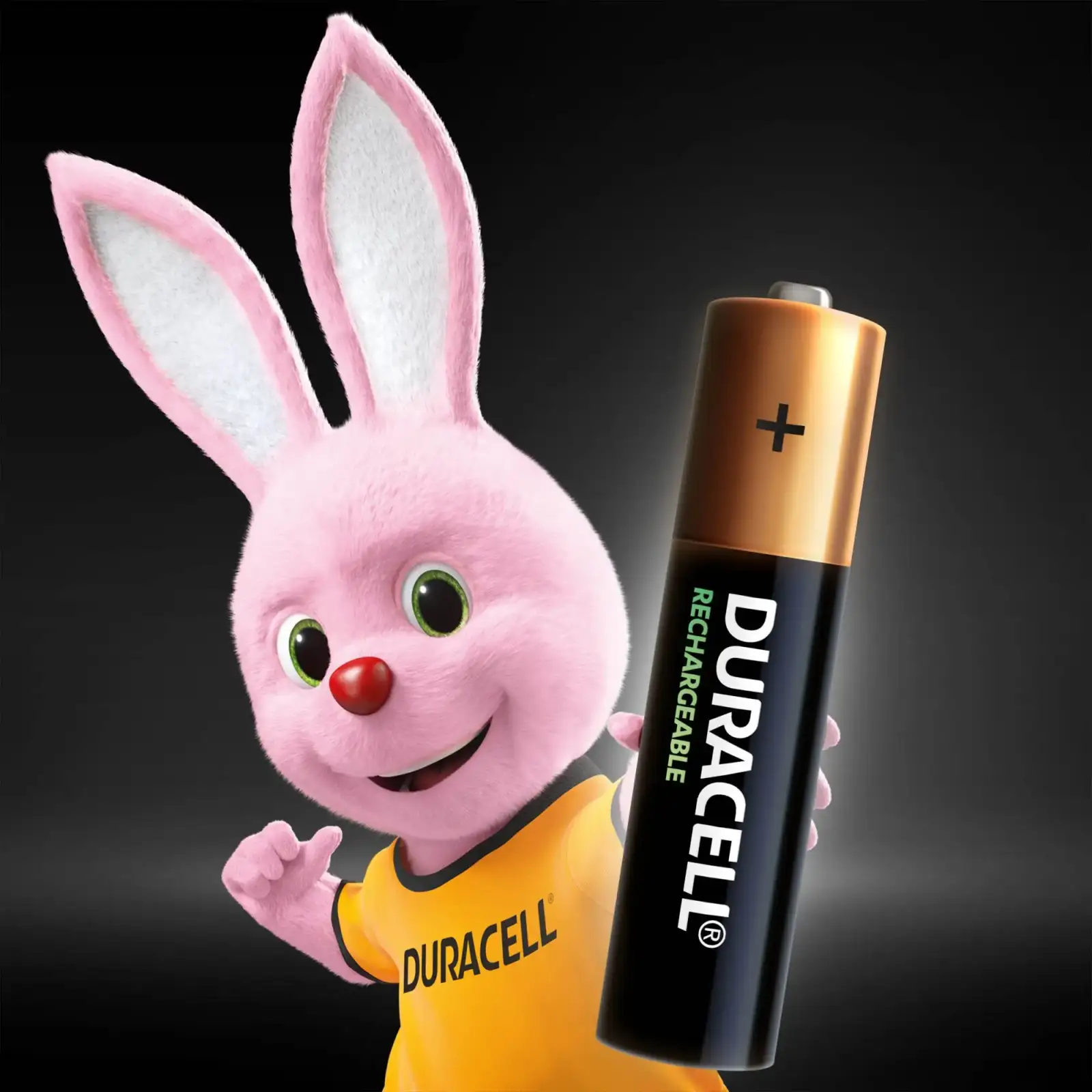 Акумулятор Duracell HR03BLN02*10 (AAA) 750mAh UA