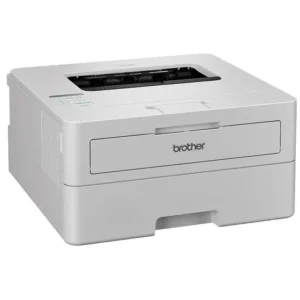 Принтер Brother HLB2180DWYJ1 UA