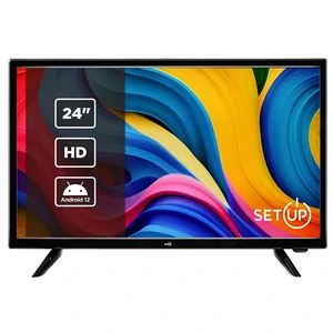 Телевизор Setup 24HSF30 UA