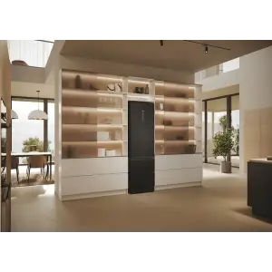 Холодильник Haier HTW5620DNPT UA
