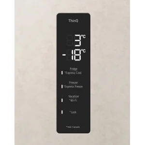 Холодильник LG GC-B509FEPW UA