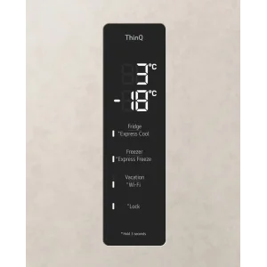 Холодильник LG GC-B509FEMW UA