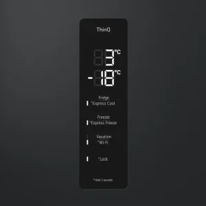 Холодильник LG GC-B509FTZW UA