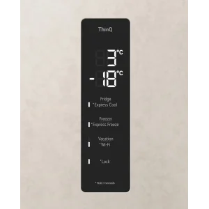 Холодильник LG GC-B459FEPW UA