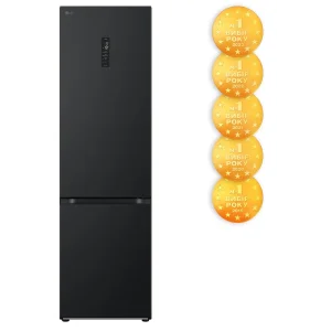 Холодильник LG GW-B509FXUW UA