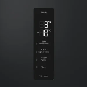 Холодильник LG GW-B509FXUW UA