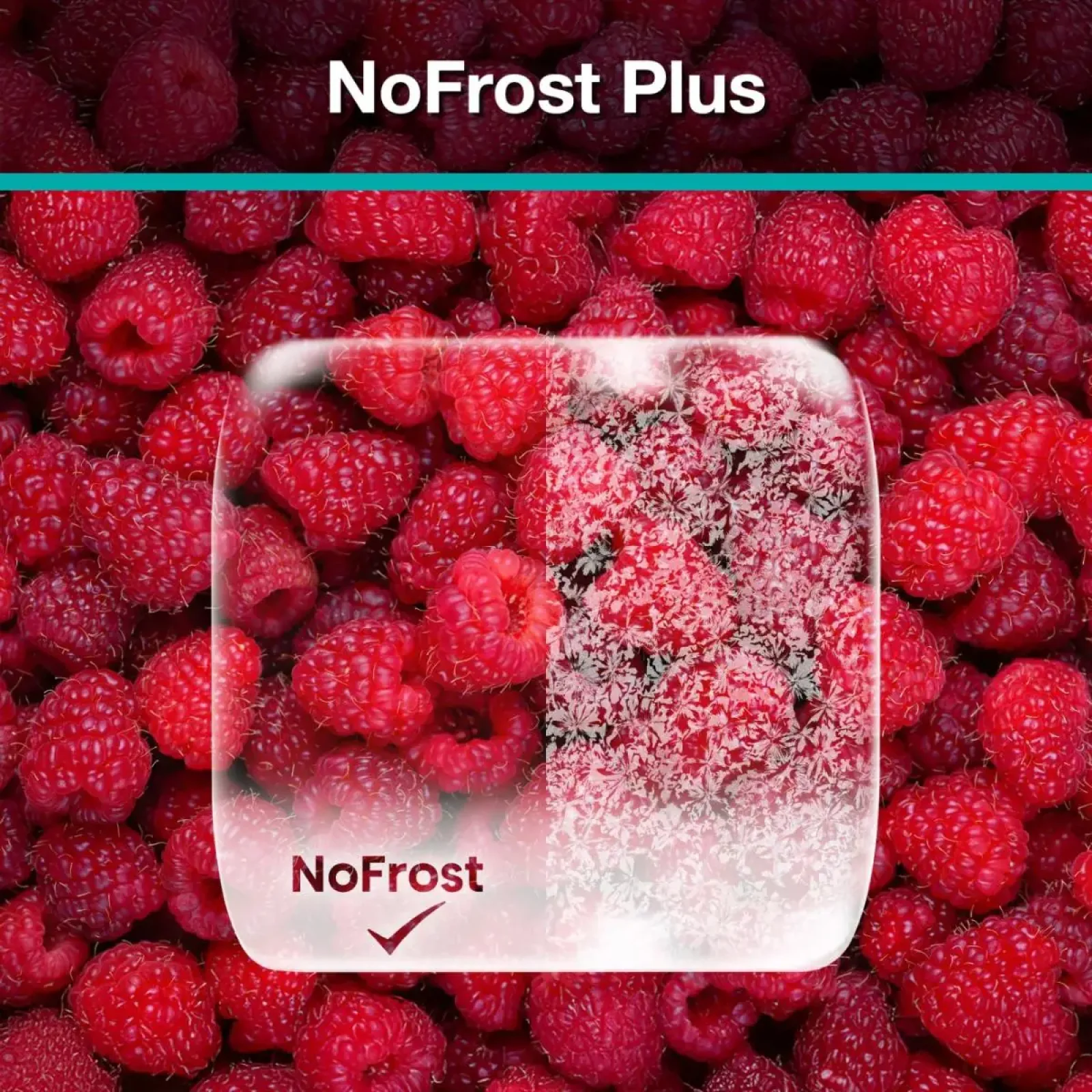 Холодильник GORENJE NRK720EAXL4 UA