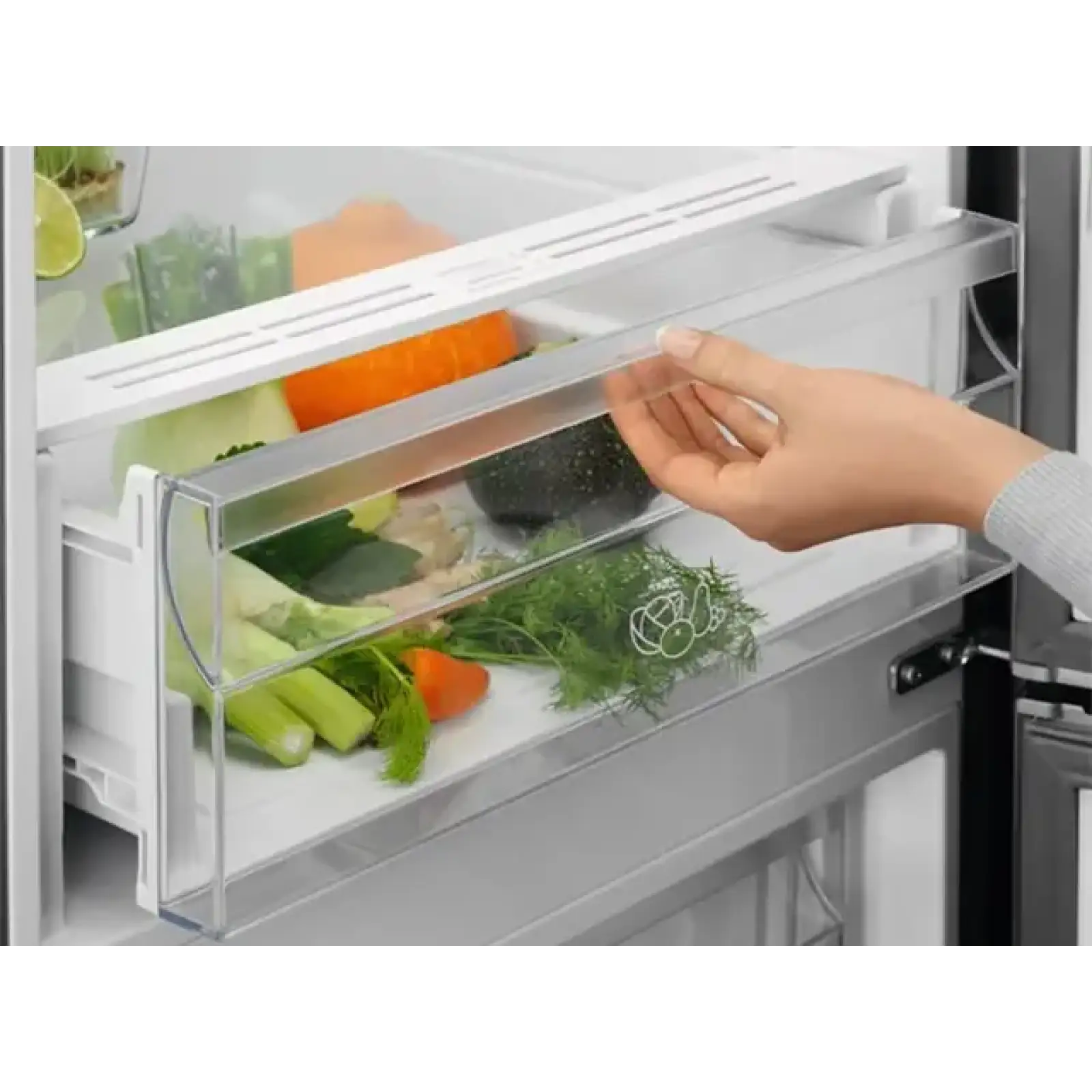 Холодильник ELECTROLUX LNT5ME36U1 UA