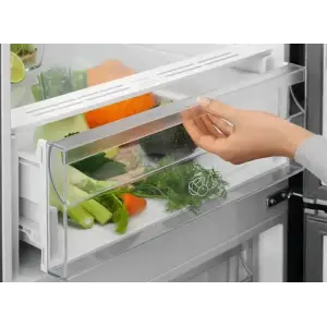 Холодильник ELECTROLUX LNT5ME36U1 UA