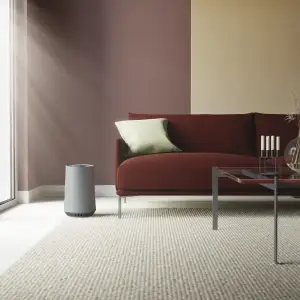 Воздухоочиститель ELECTROLUX FA31-201GY UA