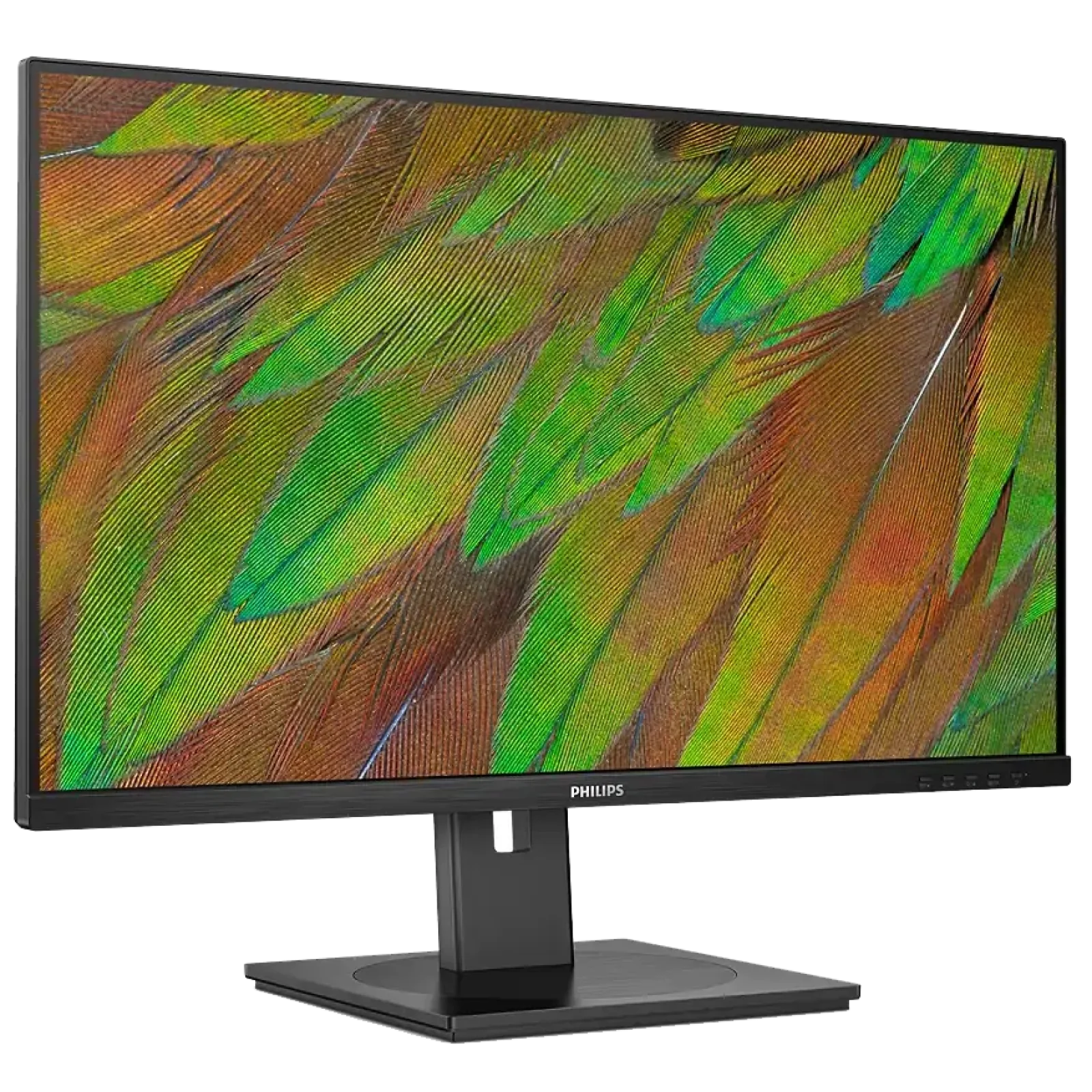 Монiтор Philips 32B1N3800/00 UA