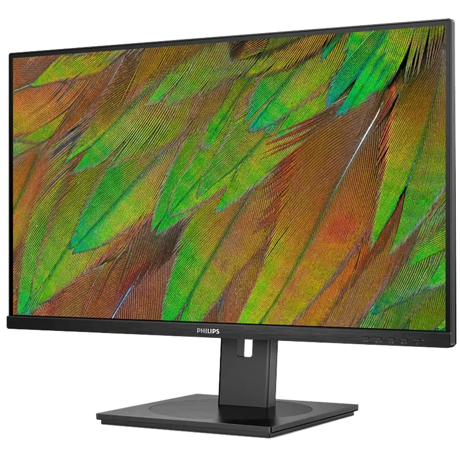 Монiтор Philips 32B1N3800/00 UA