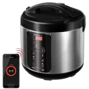 Мультиварки REDMOND SkyCooker RMC-M225S UA