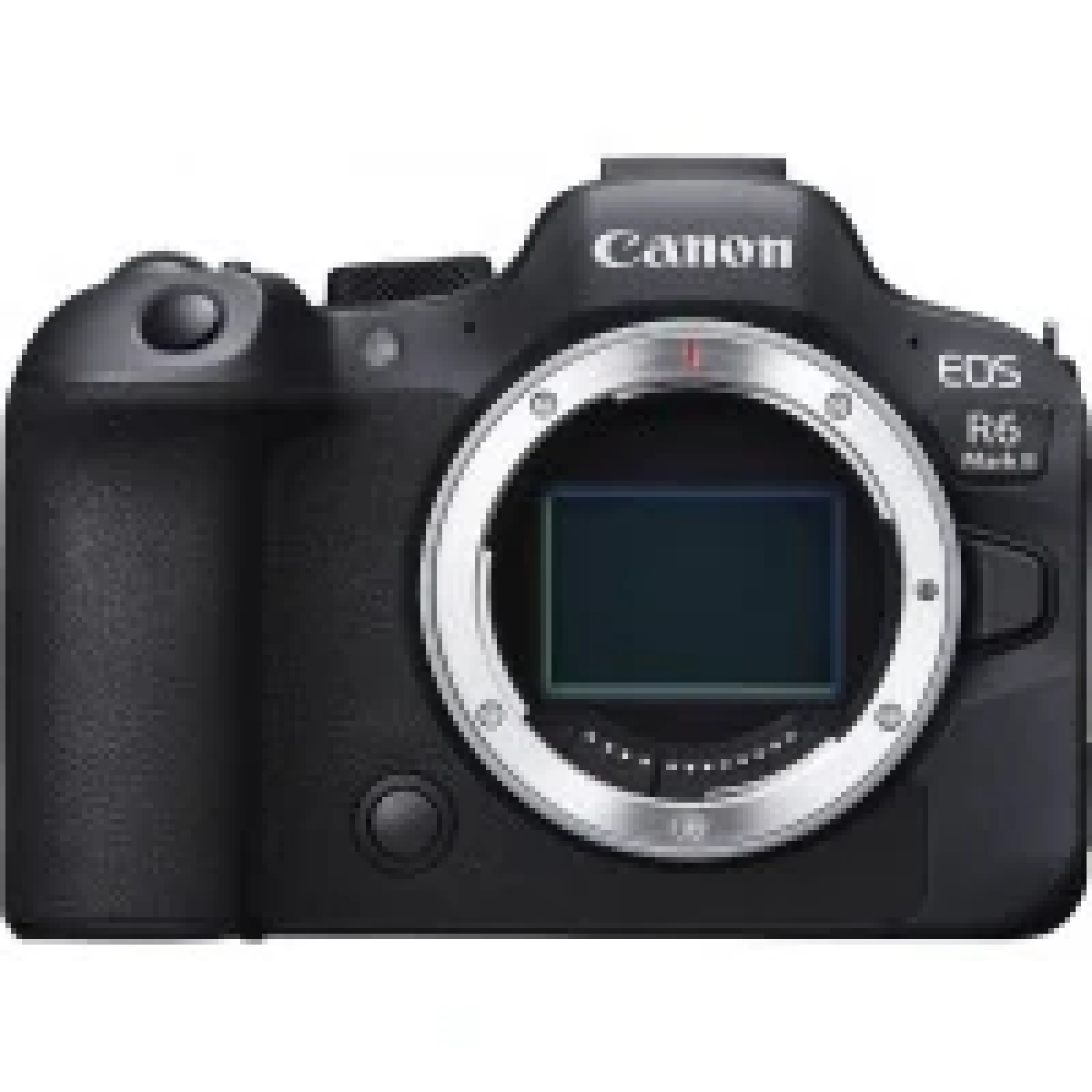 Цифрова камера CANON EOS R6 Mark II body UA