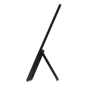 Монiтор Acer PM161Wbmiuux (UM.ZP1EE.012) UA