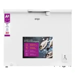 Морозильна камера ERGO BD-250 RF UA