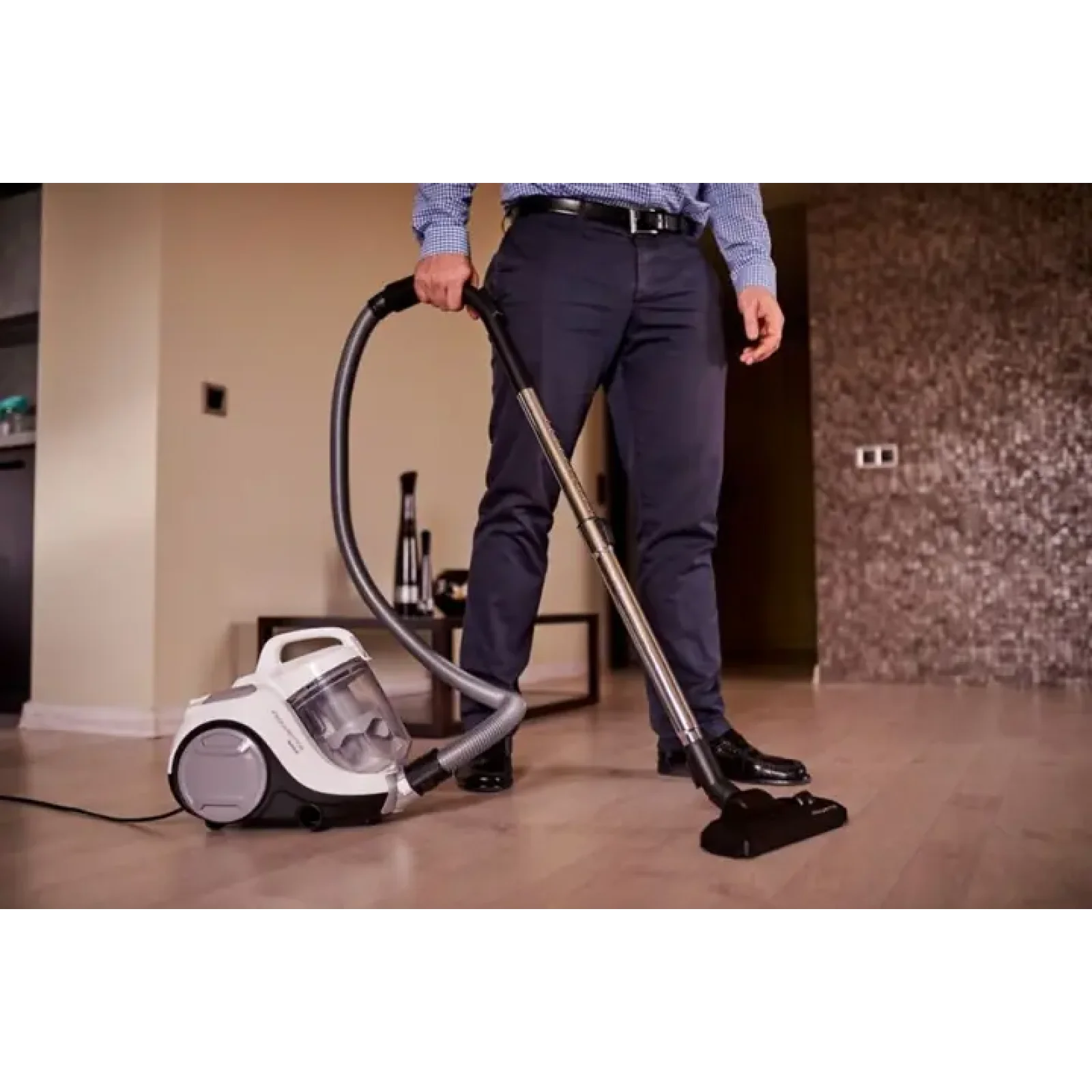 Пилосос циклонний ROWENTA RO2957EA UA