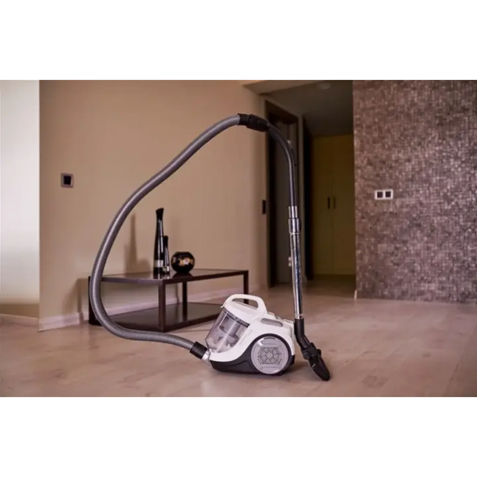 Пилосос циклонний ROWENTA RO2957EA UA