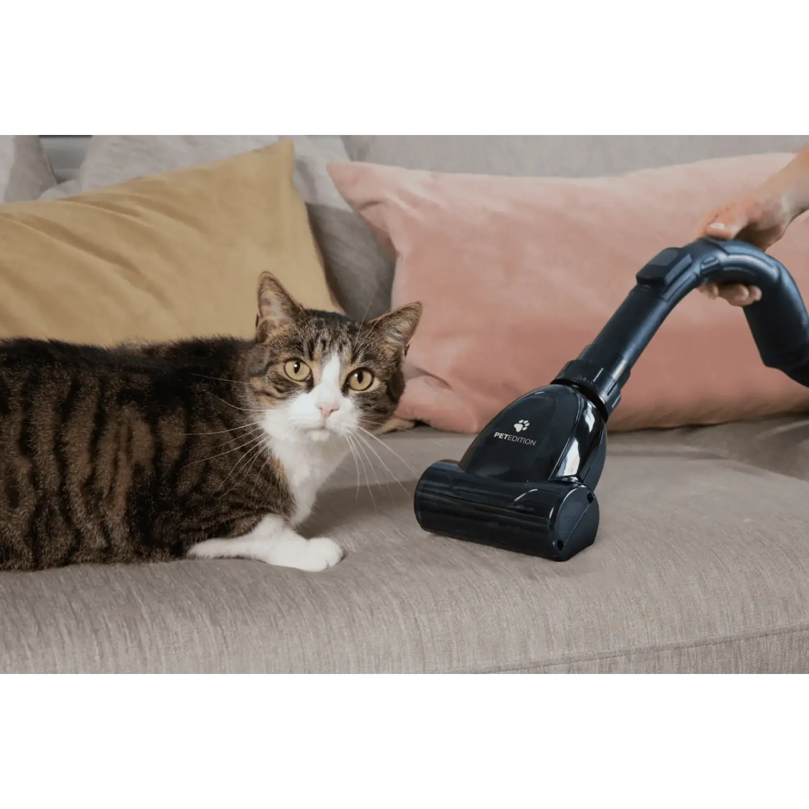 Пилосос Gorenje VCE08G6AEGO (TPC02) UA