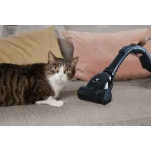 Пилосос Gorenje VCE08G6AEGO (TPC02) UA