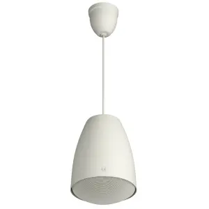 Гучномовець TOA PE-304 (Гучномовець підвісний 30Вт 100В, 70-20 000Гц, 91дБ) UA