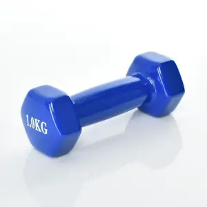 Гантелі для фітнесу з вініловим покриттям 2шт G0289-BL 1кг PRC (G0289-1BL)