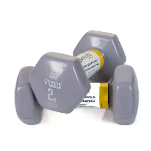 Гантелі Gemini Sport для фітнесу з вініловим покриттям 2шт по 2.0кг GSD-2.0GRAY PRC