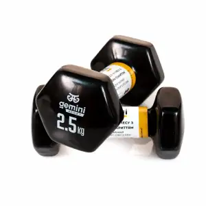 Гантели Gemini Sport для фитнеса с виниловым покрытием 2 шт по 2,5 кг GSD-2.5BK