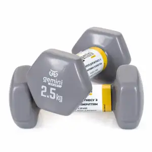 Гантели Gemini Sport для фитнеса с виниловым покрытием 2шт по 2,5кг GSD-2.5GRAY