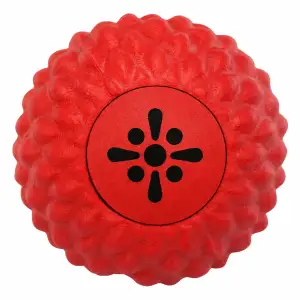 М'яч масажний для МФР BLOOM MASSAGE BALL 6 см LB-7024 червоний
